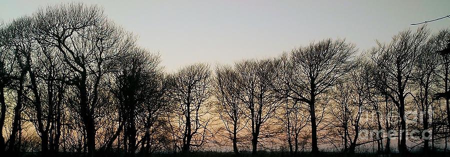 Winter Skyline Photograph by Richard Brookes
