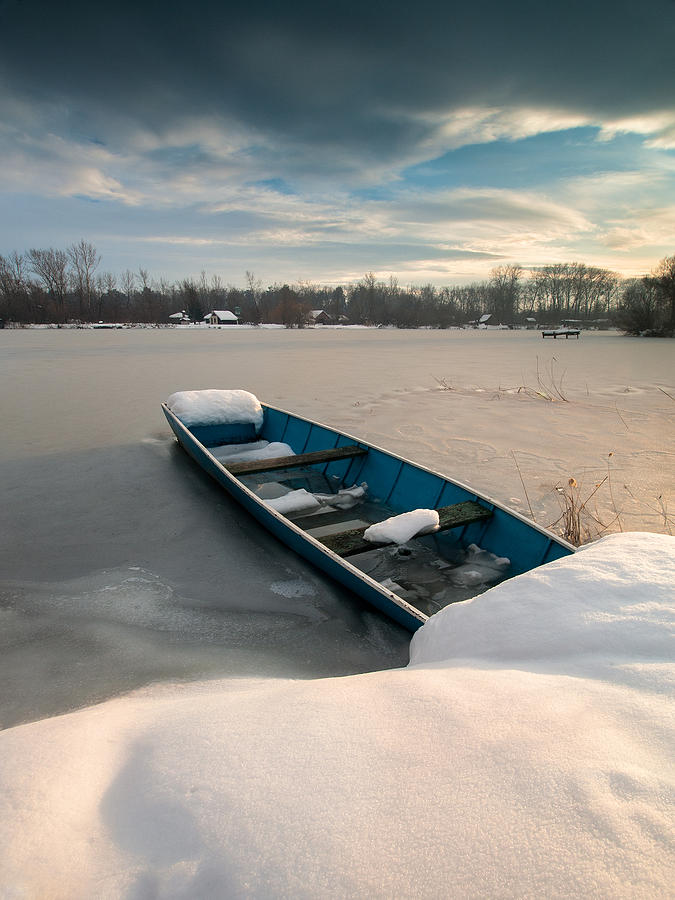 Winter sleep Photograph by Davorin Mance