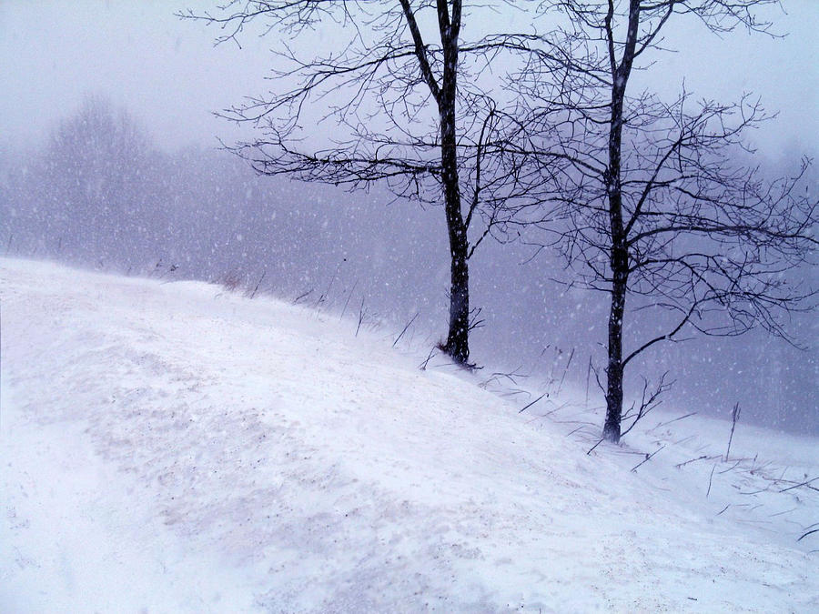 Winter Slope Photograph by Lexi Heft