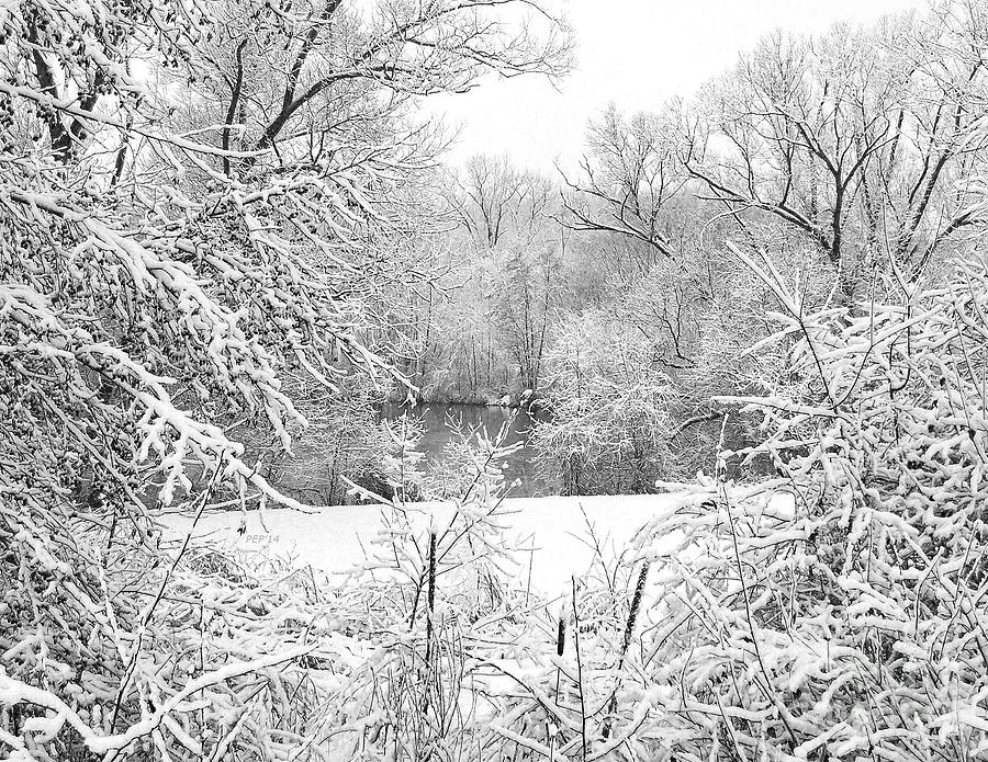 Winter Photograph - Winter Snow At Huron River by Phil Perkins Winter Photograph - Winter Snow At Huron River by Phil Perkins