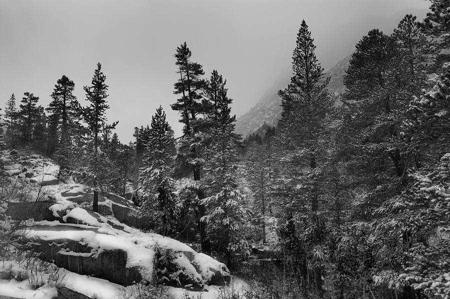 Winter Snow Scene  C6J9087 Photograph by David Orias