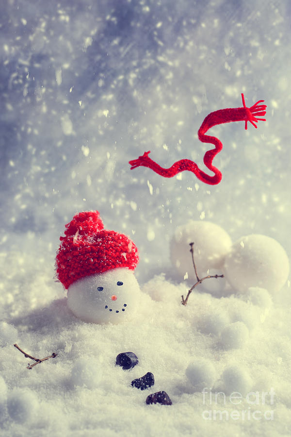Christmas Photograph - Winter Snowman by Amanda Elwell