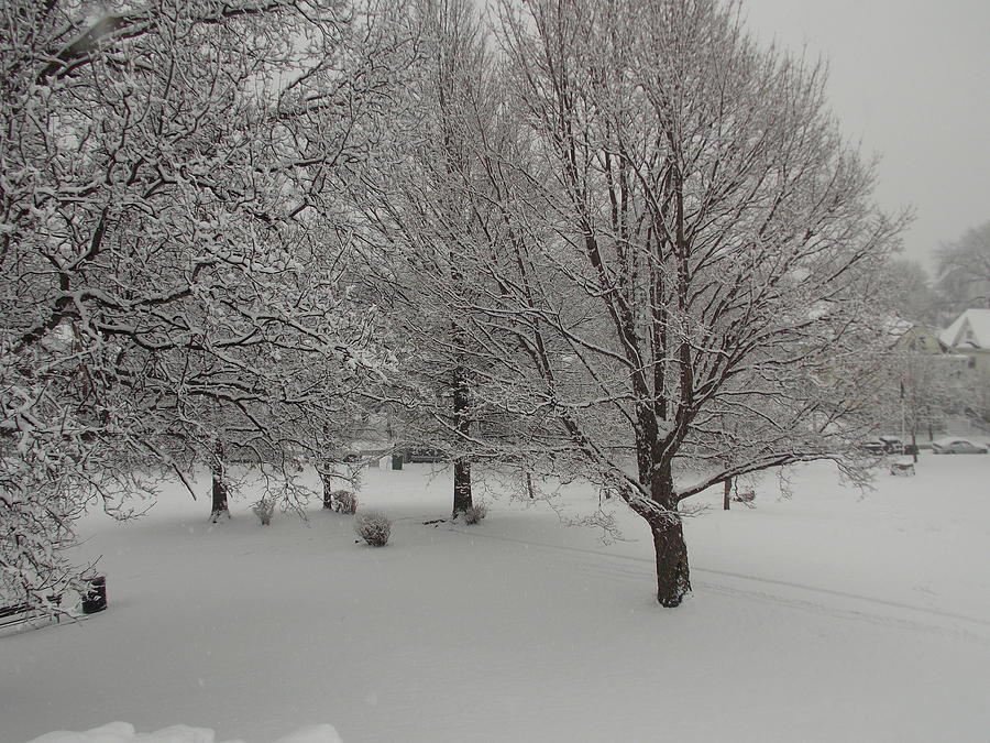 Winter Solitude Photograph by Catherine Gagne