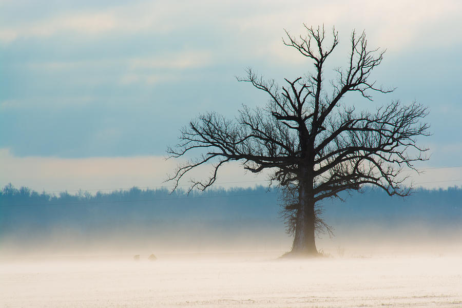 Winter Solitude Photograph by Griffey's Sunshine Photography - Fine Art ...