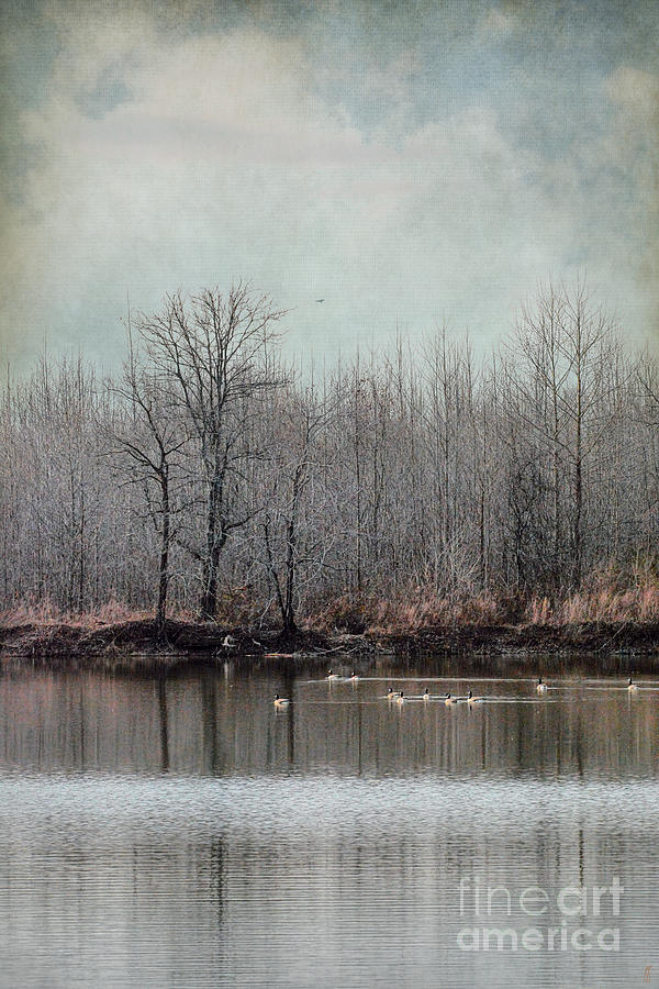 Winter Solitude Photograph by Jai Johnson