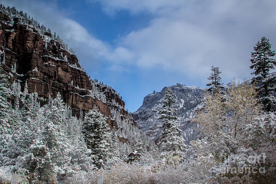 Winter Solitude Photograph by Jim McCain