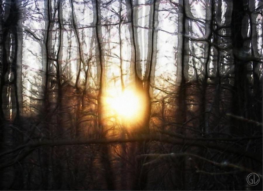 Nature Digital Art - Winter solstice by Gun Legler