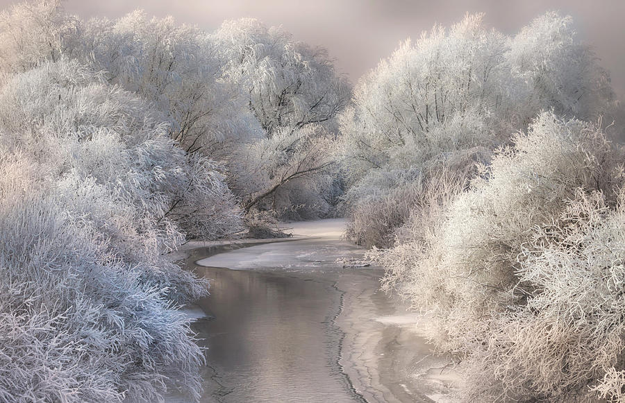 Winter Photograph - Winter Song by Sebestyen Bela