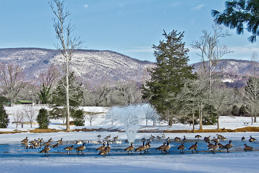 Winter Spa Photograph by Jemmy Archer