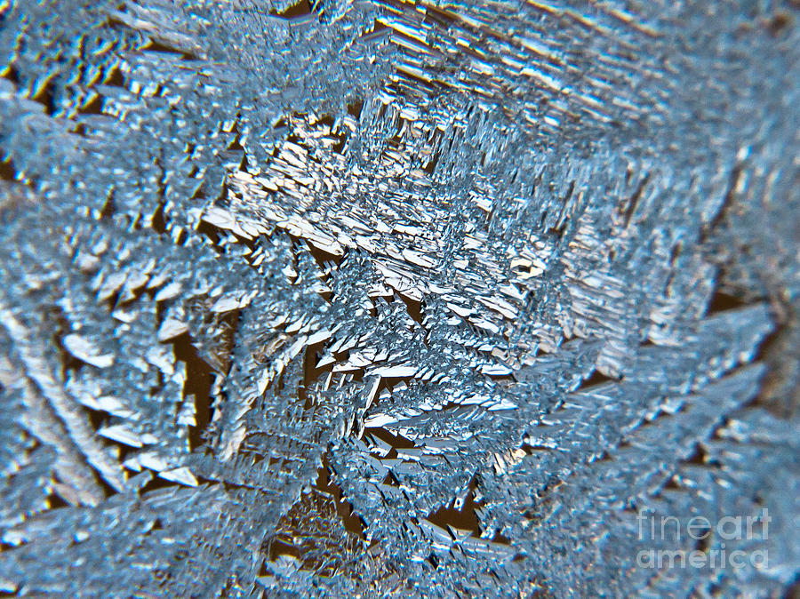 Winter Sparkles Photograph by Cheryl Baxter