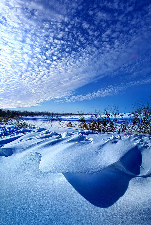 Winter Photograph - Winter Sticks its Tongue Out by Phil Koch