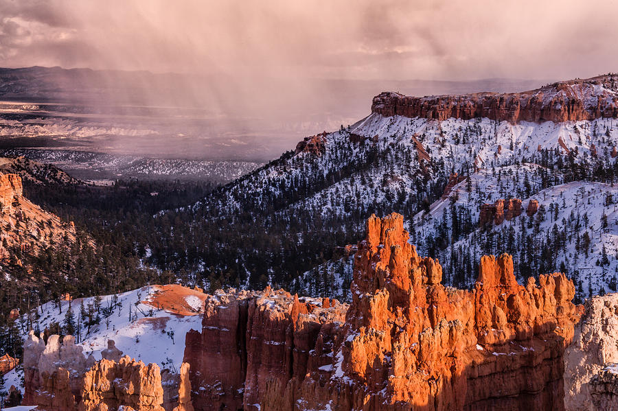 Bryce Canyon National Park Photograph - Winter Storm at Bryce Canyon by Rob Travis