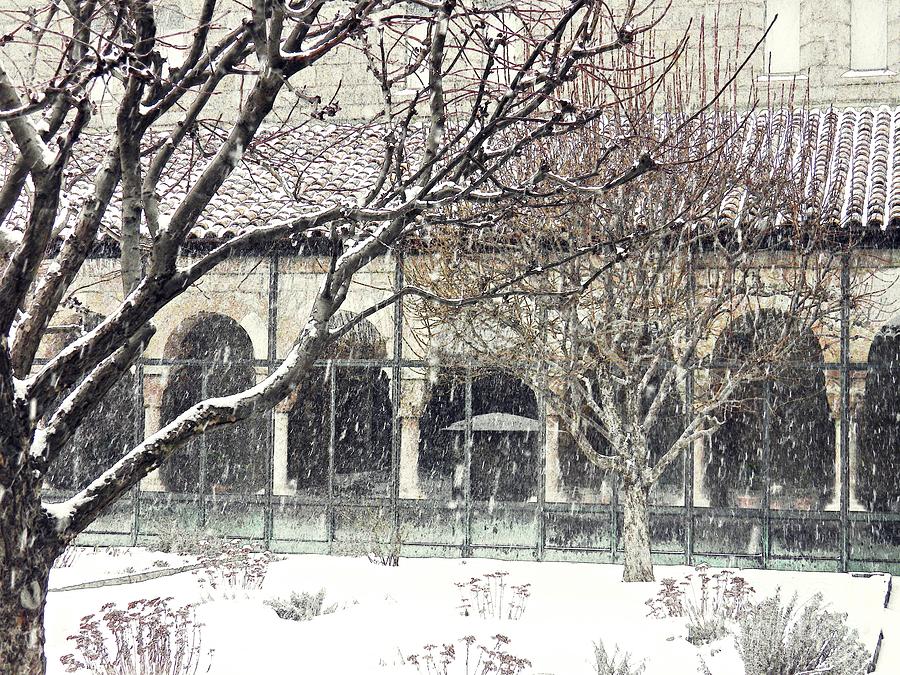 Tree Photograph - Winter Storm at the Cloisters 5 by Sarah Loft