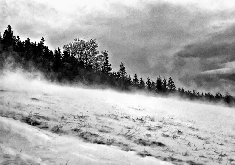 Winter Storm Photograph