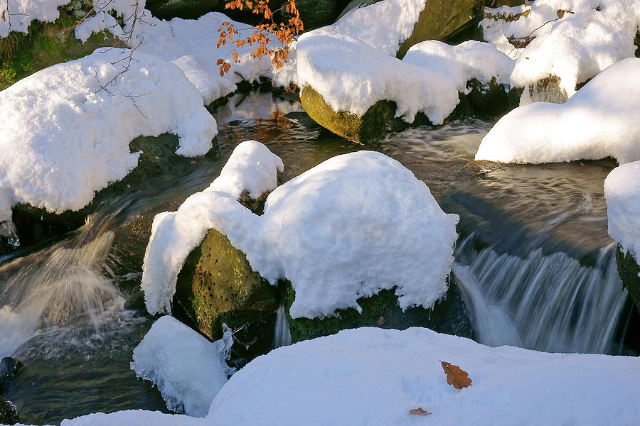 Winter Stream Photograph by David Birchall
