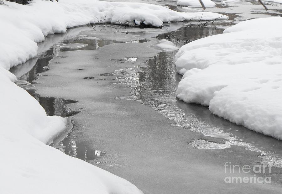 Winter Stream Photograph by Erick Schmidt