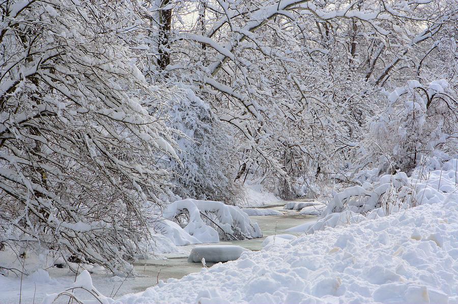 Winter Stream Photograph by Gordon Elwell