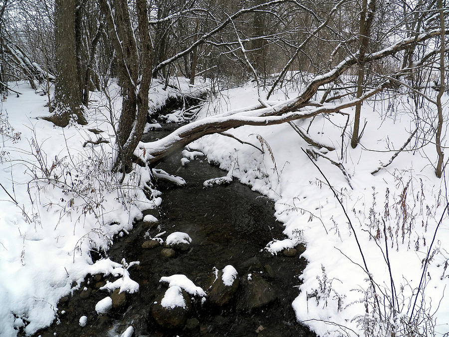 Winter Stream I Photograph by Corinne Elizabeth Cowherd