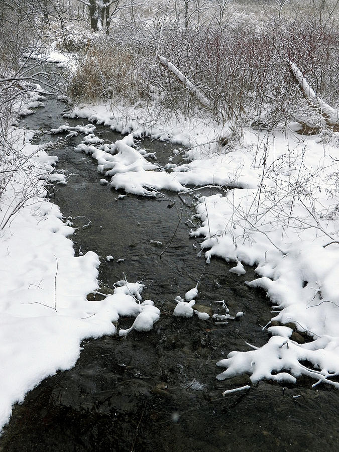 Winter Stream II Photograph by Corinne Elizabeth Cowherd
