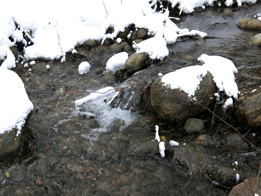 Winter Stream III Photograph by Corinne Elizabeth Cowherd