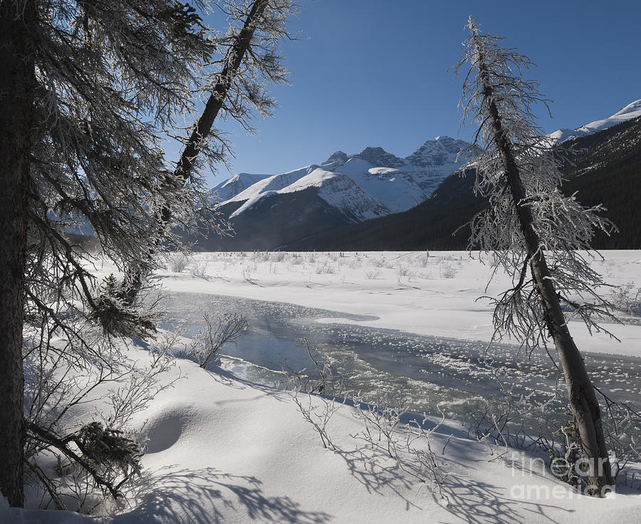 Winter Stream, Jasper National Park Photograph by John Shaw