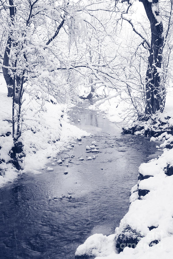 Winter stream Photograph by Liz Leyden