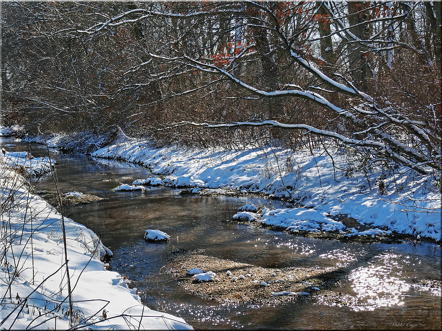 Winter stream Photograph by Mikki Cucuzzo