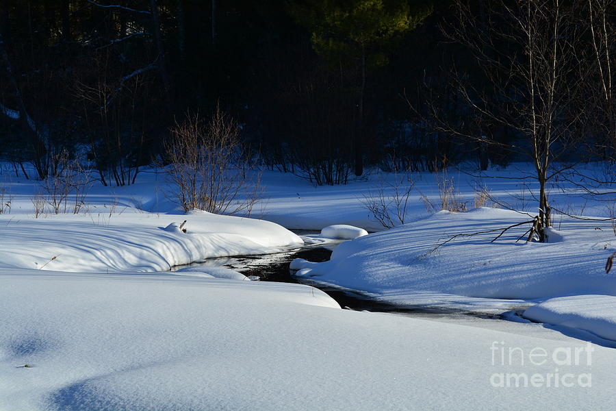 Winter Stream Photograph by Mim White