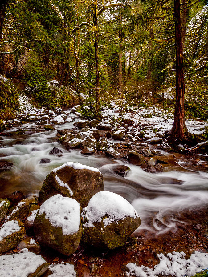 Winter Stream Photograph by Scott Law