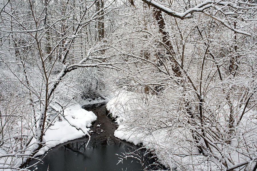 Winter Stream Snow Scene Photograph by Clint Buhler
