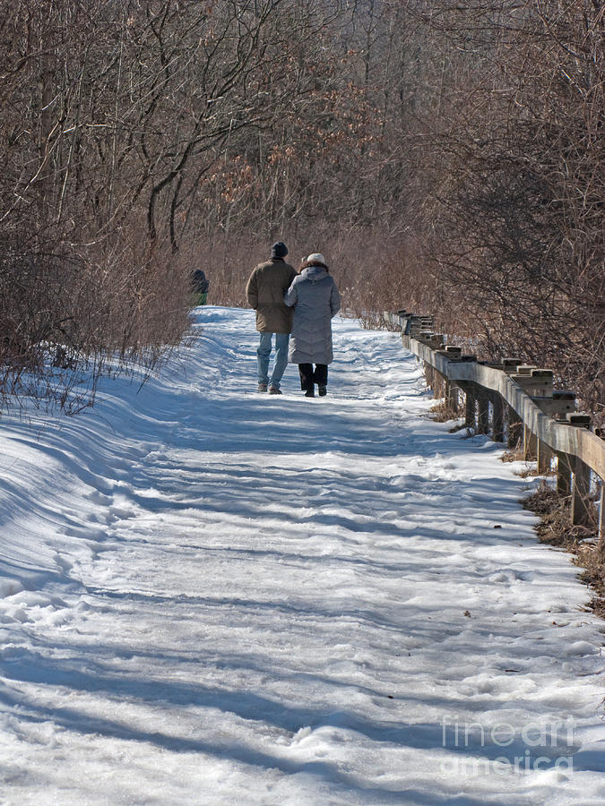 Winter Photograph - Winter Stroll by Ann Horn