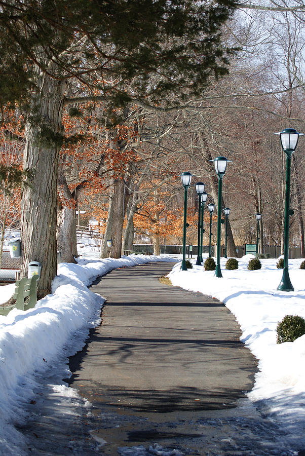 Winter Stroll Photograph by Margie Avellino