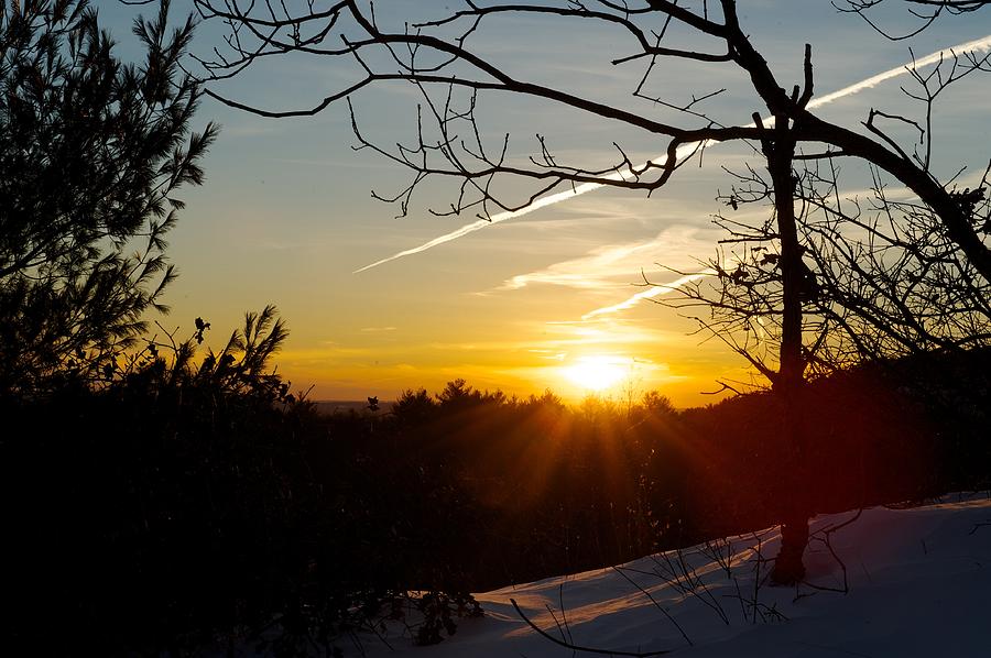 Winter Sun Photograph by Andrew Heald