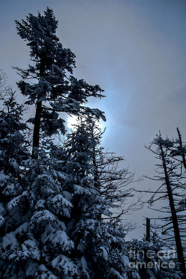 Winter Sun Photograph by James Aiken