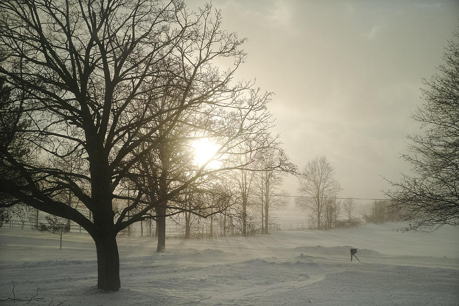 Winter Sun Photograph by Lars Lentz