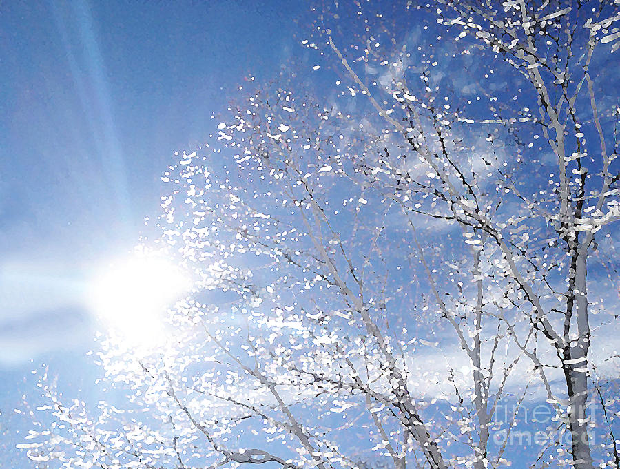 Winter Sun Digital Art by Lynellen Nielsen