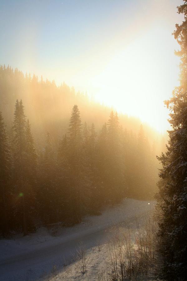 Sunset Photograph - Winter sun by Max Josefsson