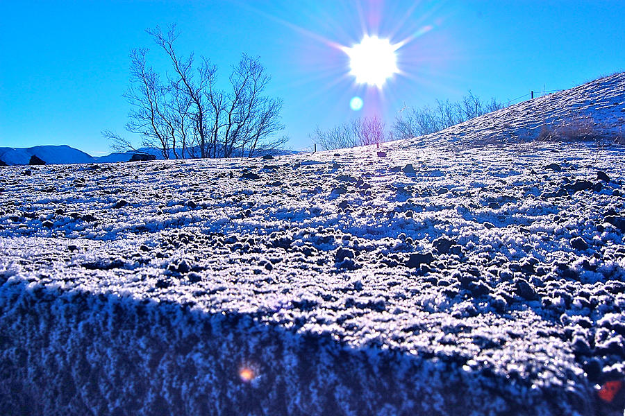 Winter Sun Photograph by HweeYen Ong