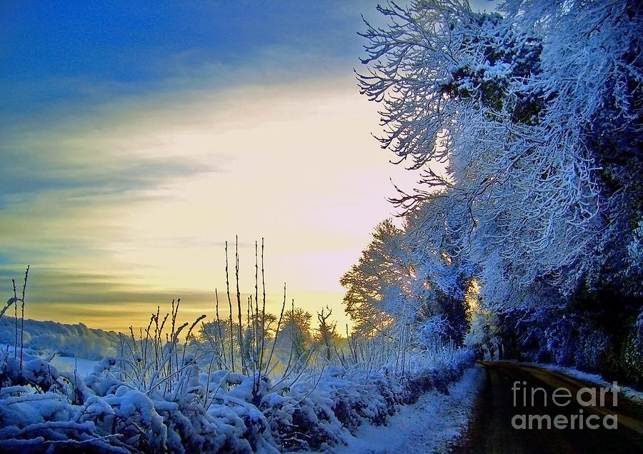 Winter Sunburst Photograph by Nina Ficur Feenan