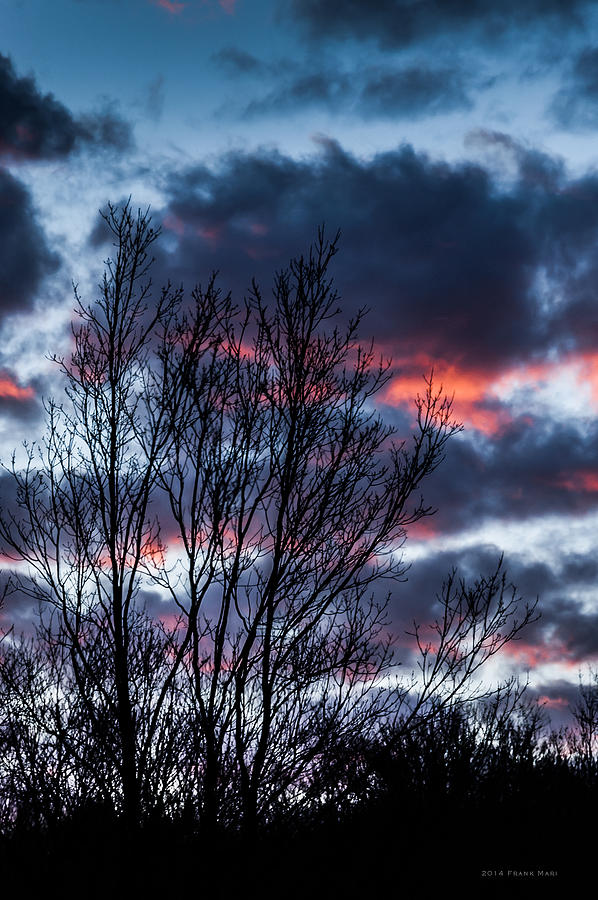 Winter Sunrise 2 Photograph by Frank Mari