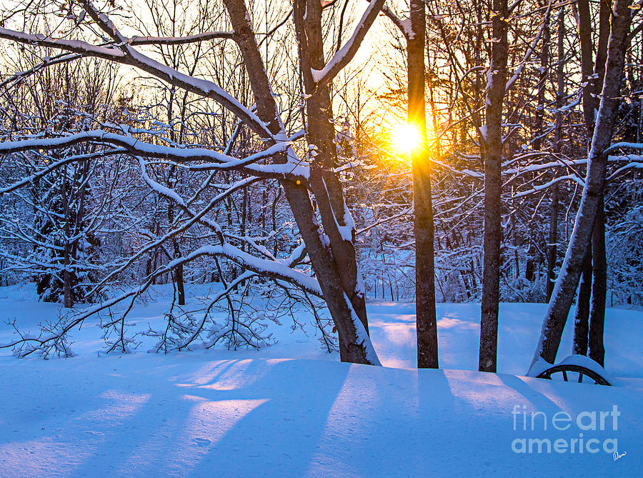 Winter Sunrise Photograph by Alana Ranney