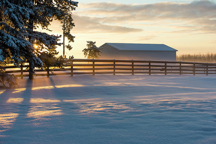 Winter Sunrise At A Ranch  Cremona Photograph by Deb Garside