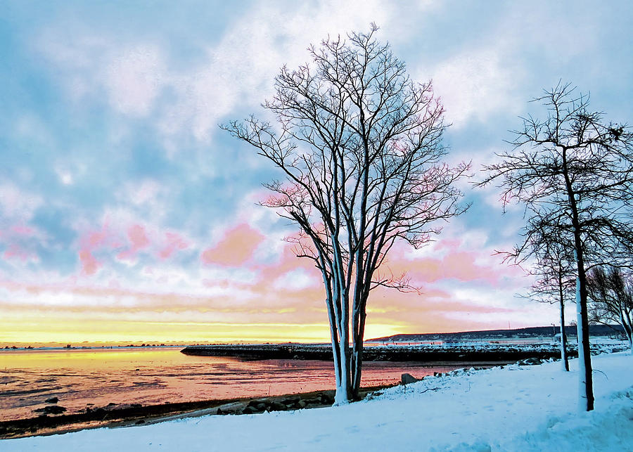 Winter Sunrise Beauty Photograph by Janice Drew