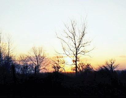 Winter Sunrise Photograph by John Glass