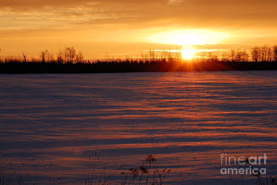 Winter Sunrise Photograph by Larry Ricker