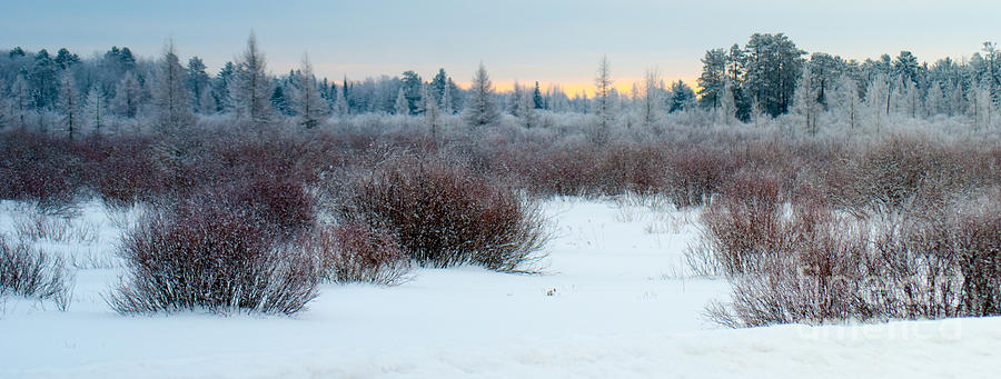 Winter Photograph - Winter Sunrise by Optical Playground By MP Ray