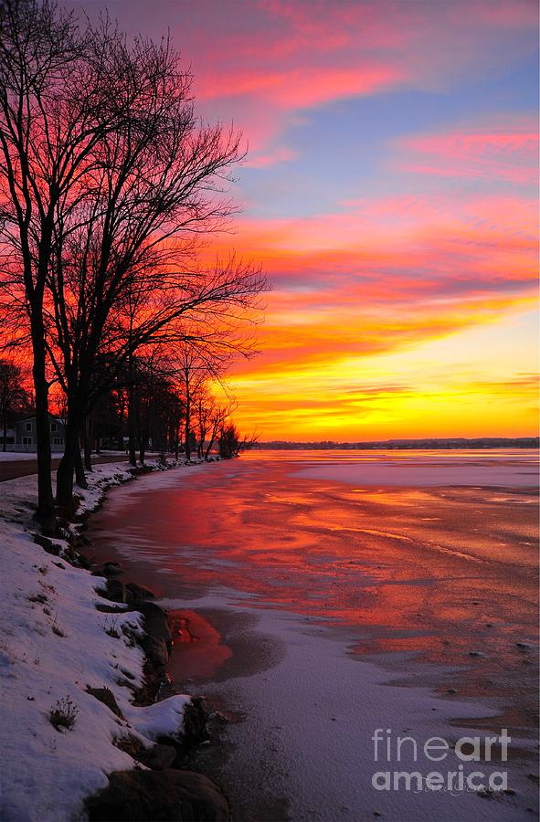 Frozen Dawn 2  Photograph by Terri Gostola