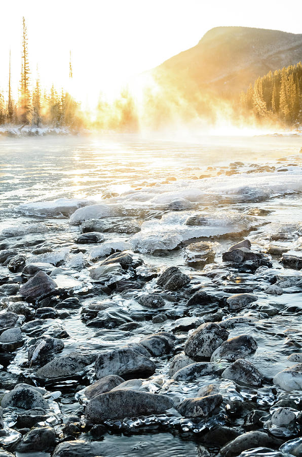 Winter Sunrise Over Misty Bow River In Photograph by Rebecca Schortinghuis