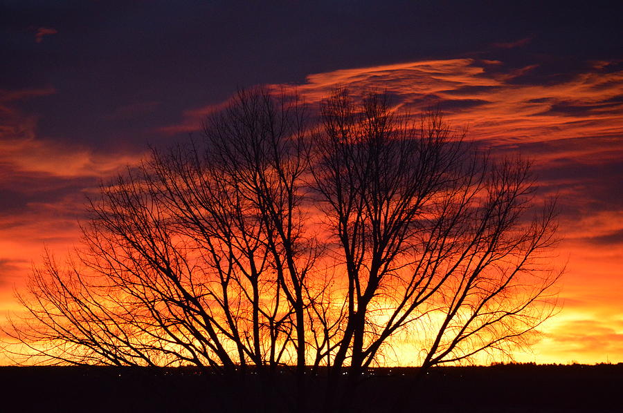 Winter Sunrise Photograph by Roy Hansen | Fine Art America