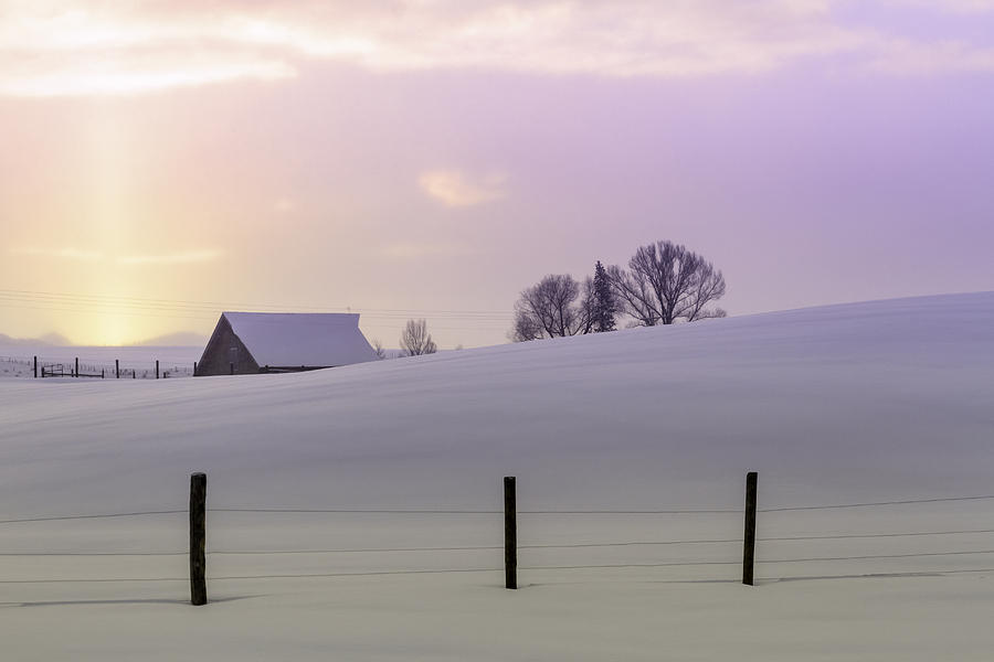 Winter Sunrise Photograph by Teri Virbickis